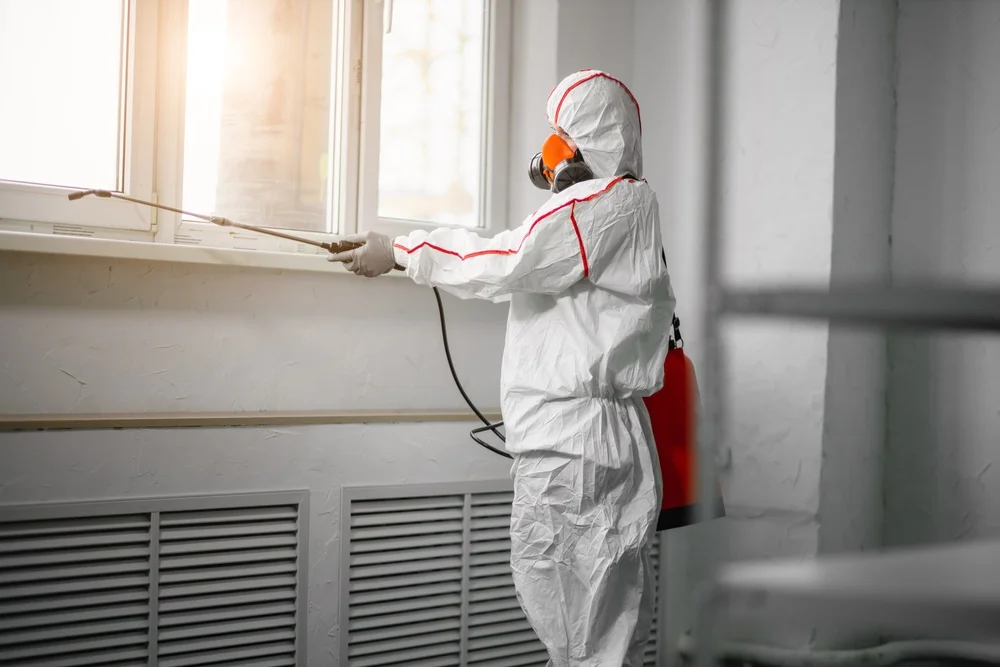 Professional mold remediation services in Floyds Knobs, IN